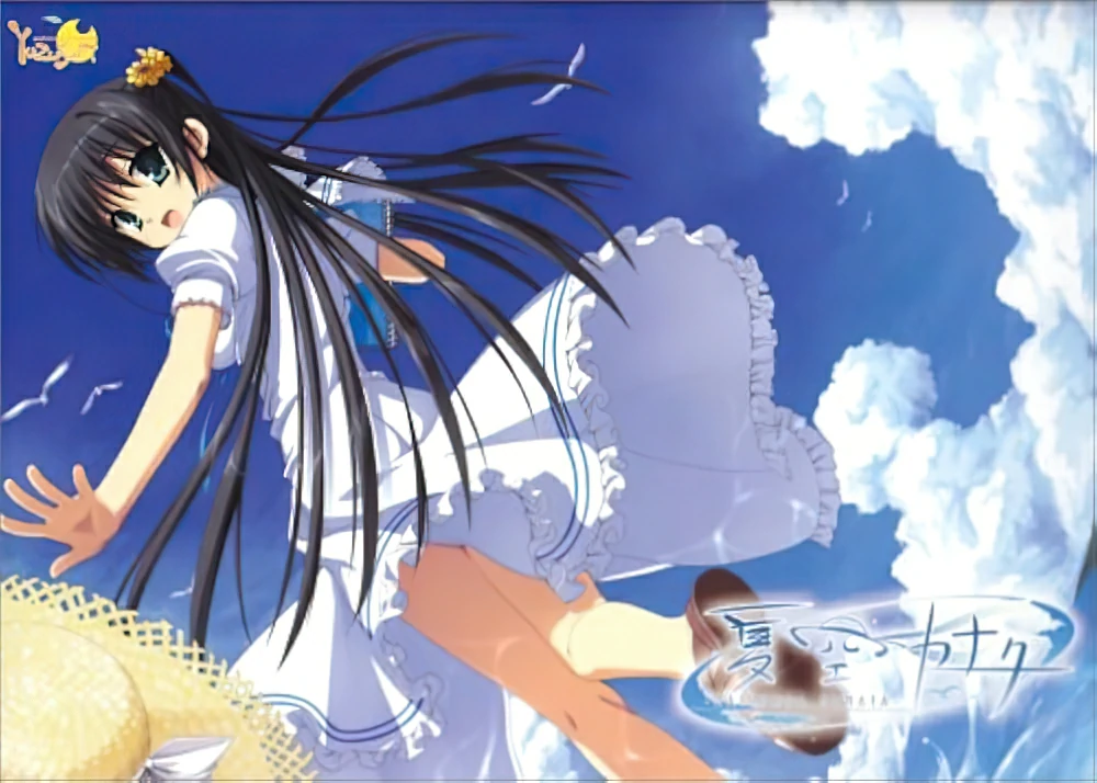 large picture of the cover